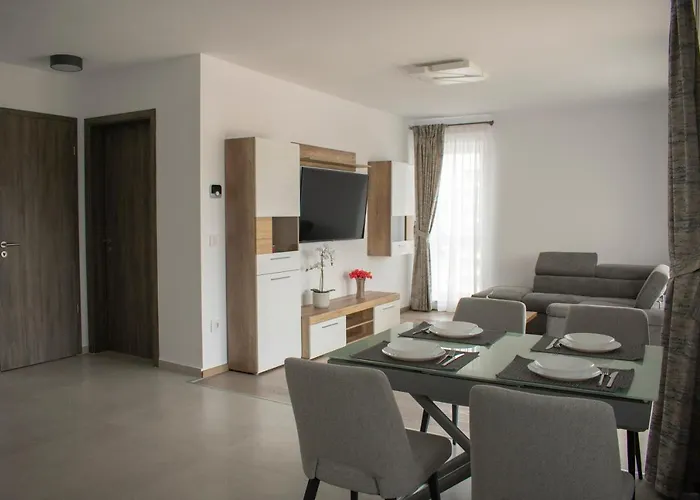 Tampa View Kasper 布拉索夫